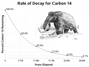 Rate of 14C decay used for carbon dating