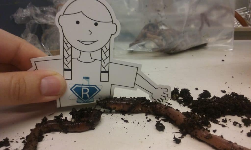 Flat Rosie learns about Earthworm Neurons