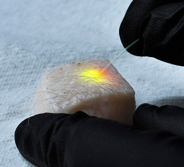 Pig cells create a tiny laser with fluorescent dye.