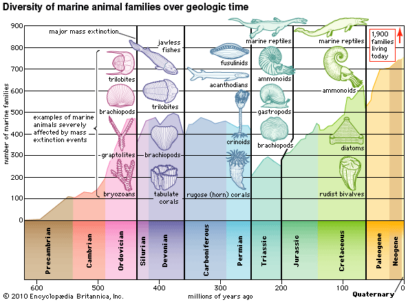 5-major-extinction-events-spesial-5