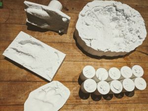 3d printed animal tracks for education