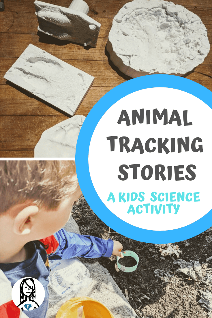 Animal Tracks Storytelling - kids science activity with 3d printed animal tracks and curriculum