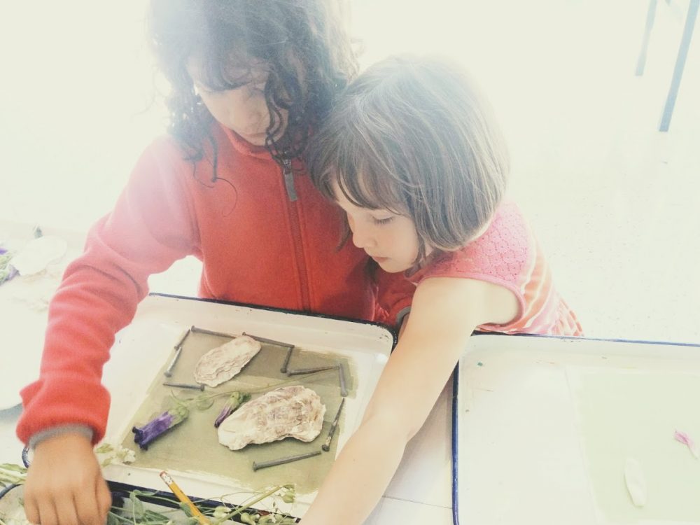 DIY cyanotype sunprint paper printing with kids