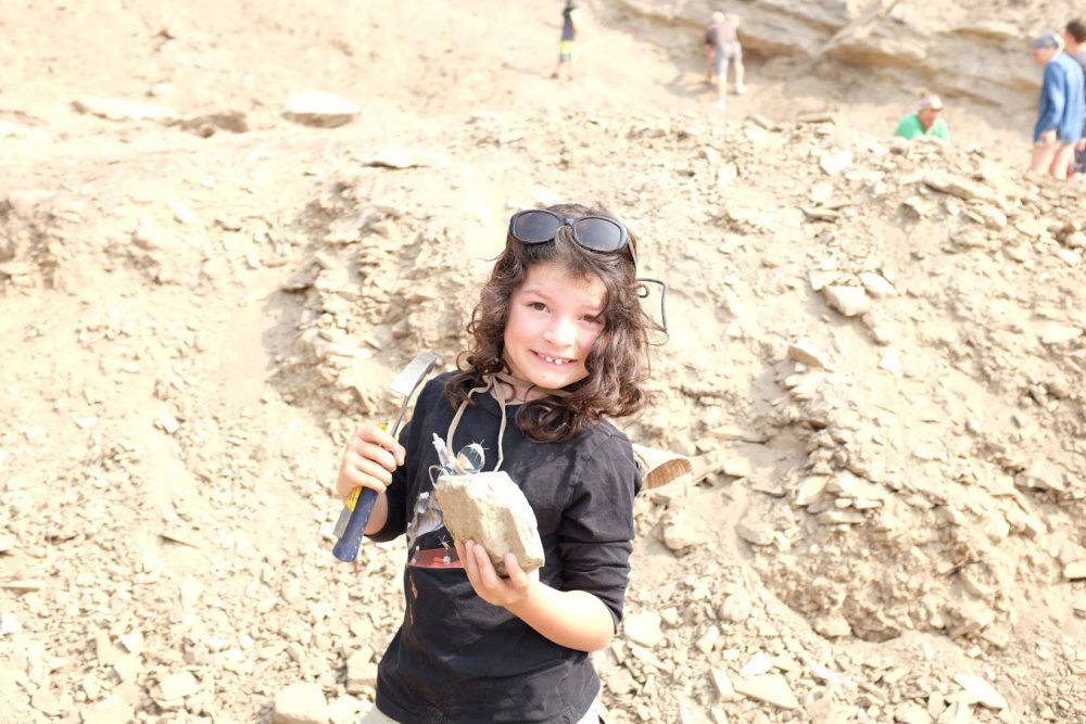 Stonerose Fossil Site
