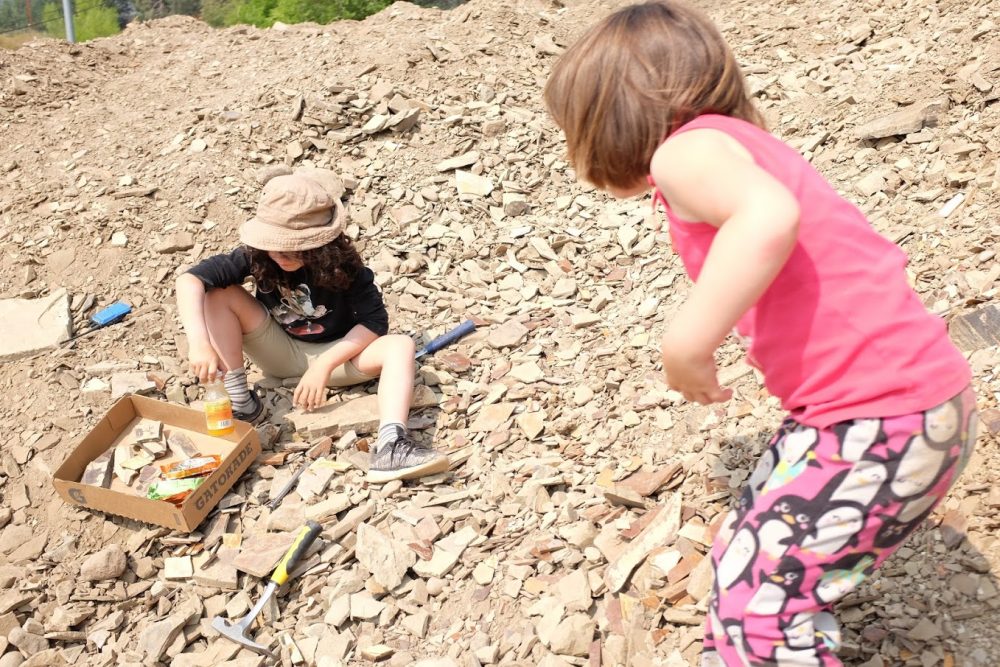 Digging fossils with kids at Stonerose in Republic WA