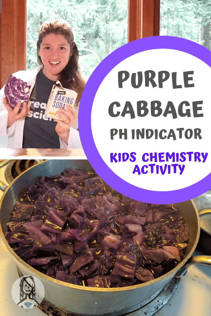 Purple Cabbage pH indicator to test household items for their acid and base pH