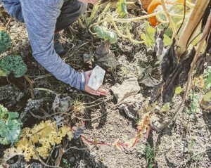 animal tracking using 3d prints