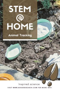 Animal Tracking Pin featuring 3d printed molds