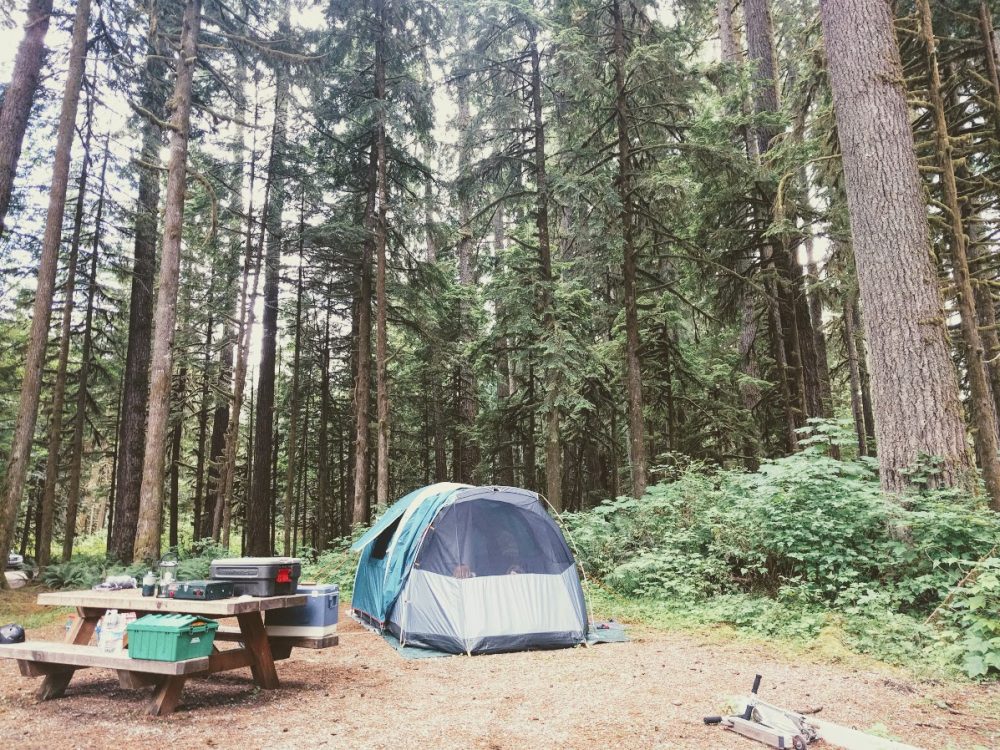 Sierra De Emergencia Ntk Outdoor Camping
