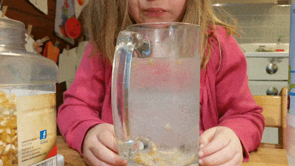 see dancing corn STEM - video of girl watching cup of corn with carbon dioxide lifting kernels