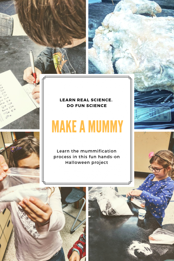 discover how to make a mummy as we learn the role of osmosis in the mummification process