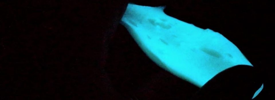 learn how to make glow in the dark slime